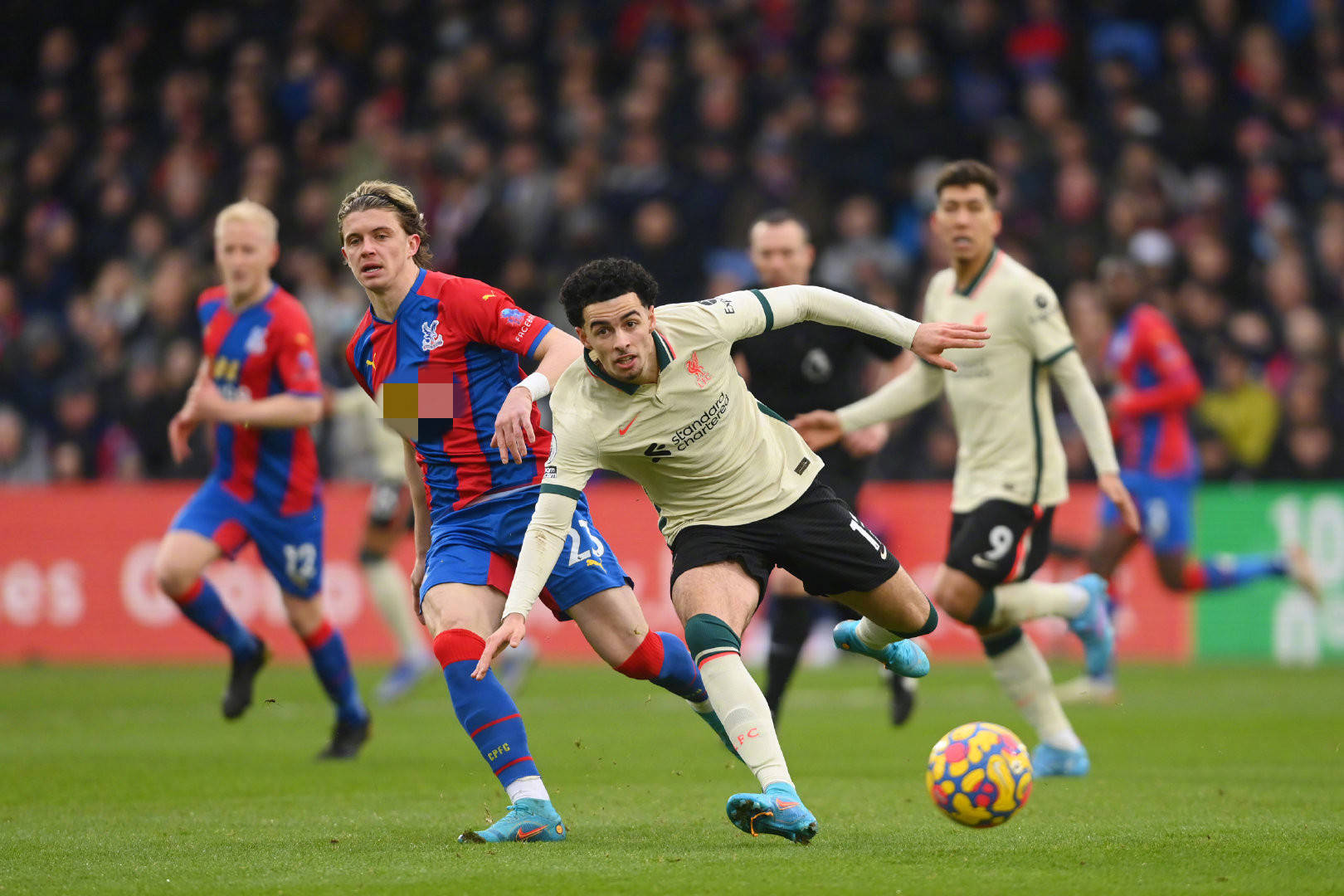 自然宝藏 自然宝藏